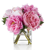 Peonies